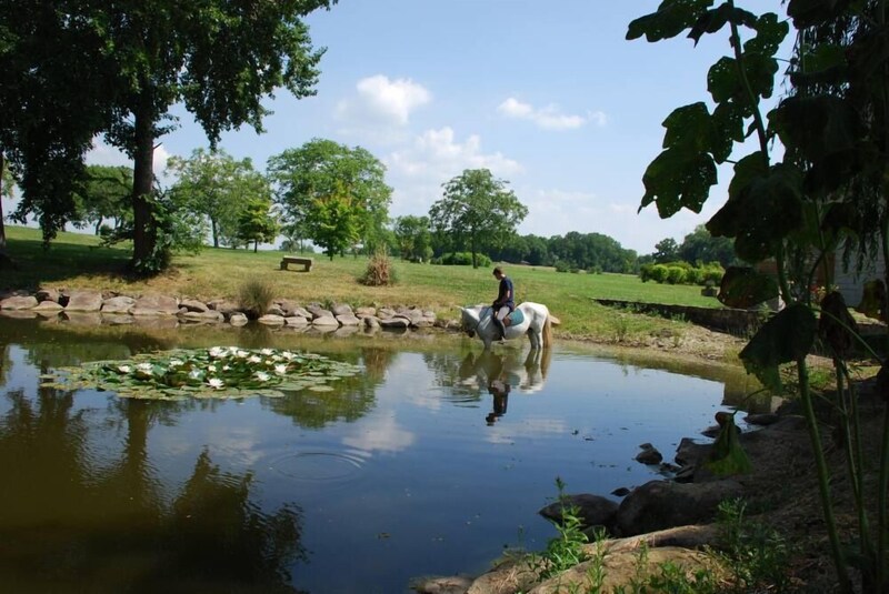 Le parc arboré et le jardin paysager du Domaine de Cornefève